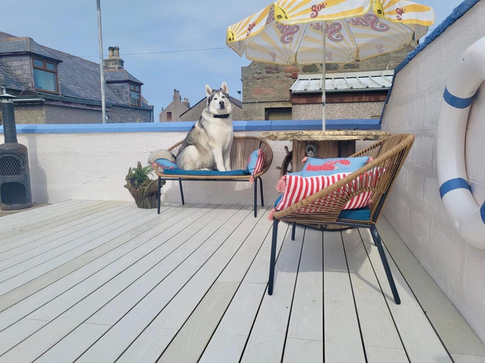Going Coastal Villa Fraserburgh Bagian luar foto